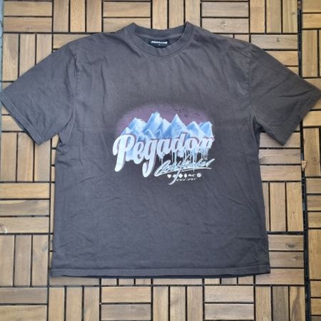 Pegador T-Shirt Dark Grey Gr. L Oversized (Heavy Cotton)