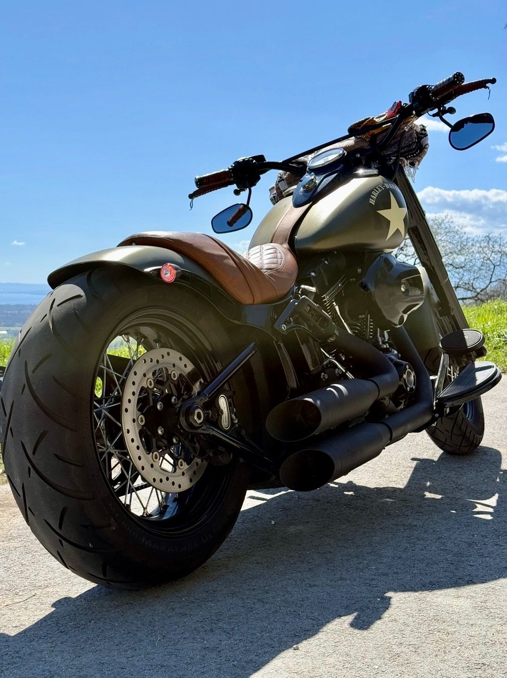 Harley-Davidson Chopper: Harley Davidson FLSS Softail custom – Usato da Rolle venduto da misterarti 3