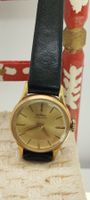 Montre apex