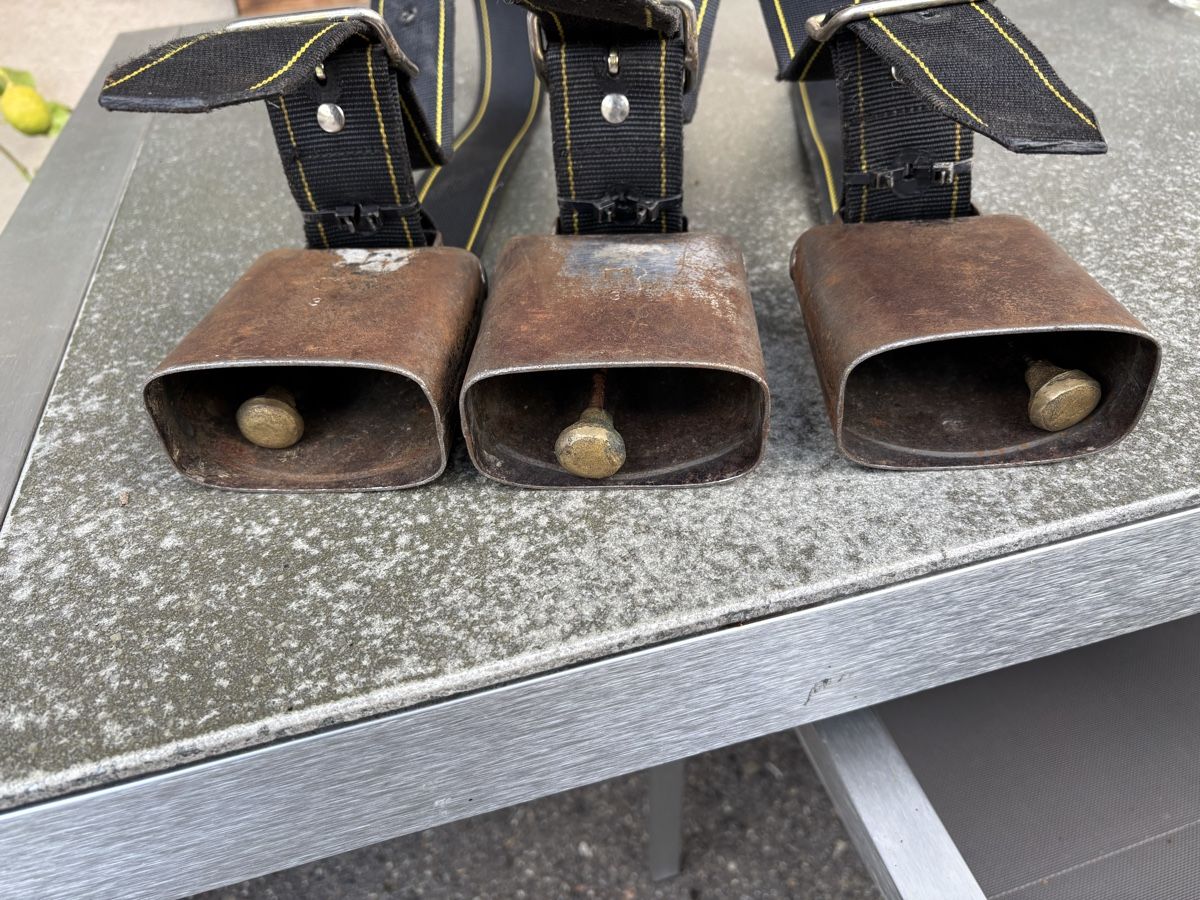 Glocken & Treicheln: 3 Gotthardt NR 3 – Gebraucht aus Schangnau von Roseggli82 5