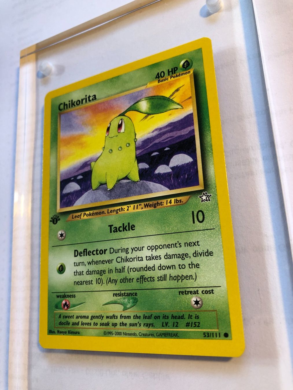 Sammelbilder & Trading cards: Chikorita 1st Neo Genesis - MINT - ab 1.- – Gebraucht aus Giubiasco von dan_pr8b 2