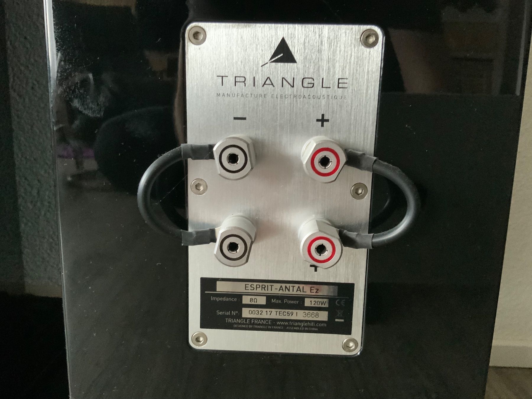 Casse acustiche: Lautsprecher Triangle Antal Esprit EZ HG – Usato da Buchs LU venduto da Hightp 4