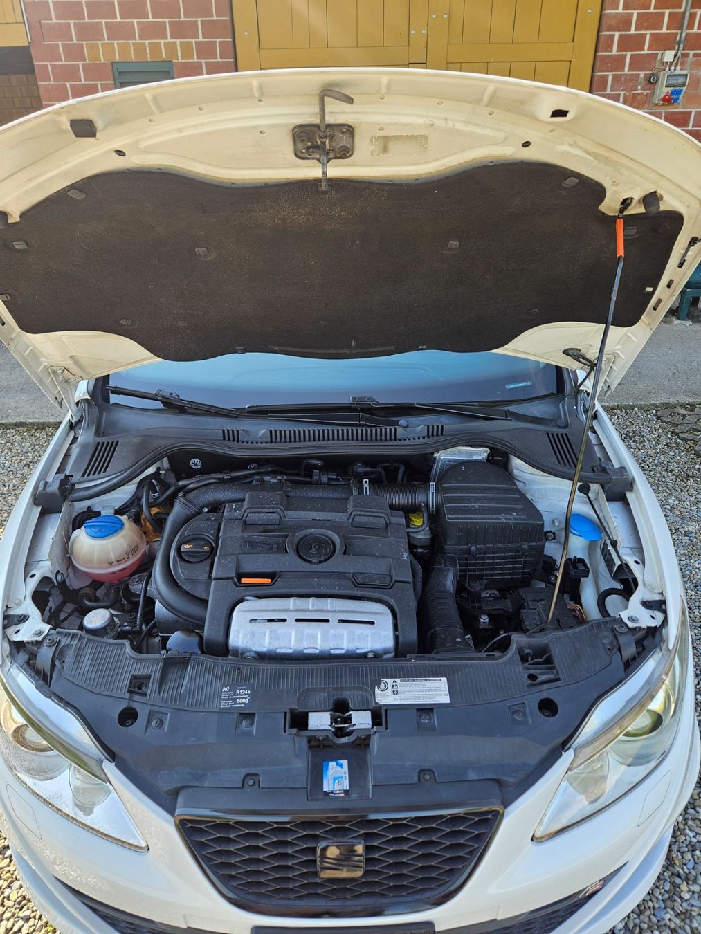Seat Autos: Seat Ibiza 1.4 TSI FR DSG – Gebraucht aus Ettiswil von Timob43 9