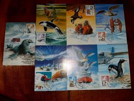 5 cartes postales antarctique magyar