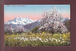 DENTS DU MIDI au printemps - Publicité au dos