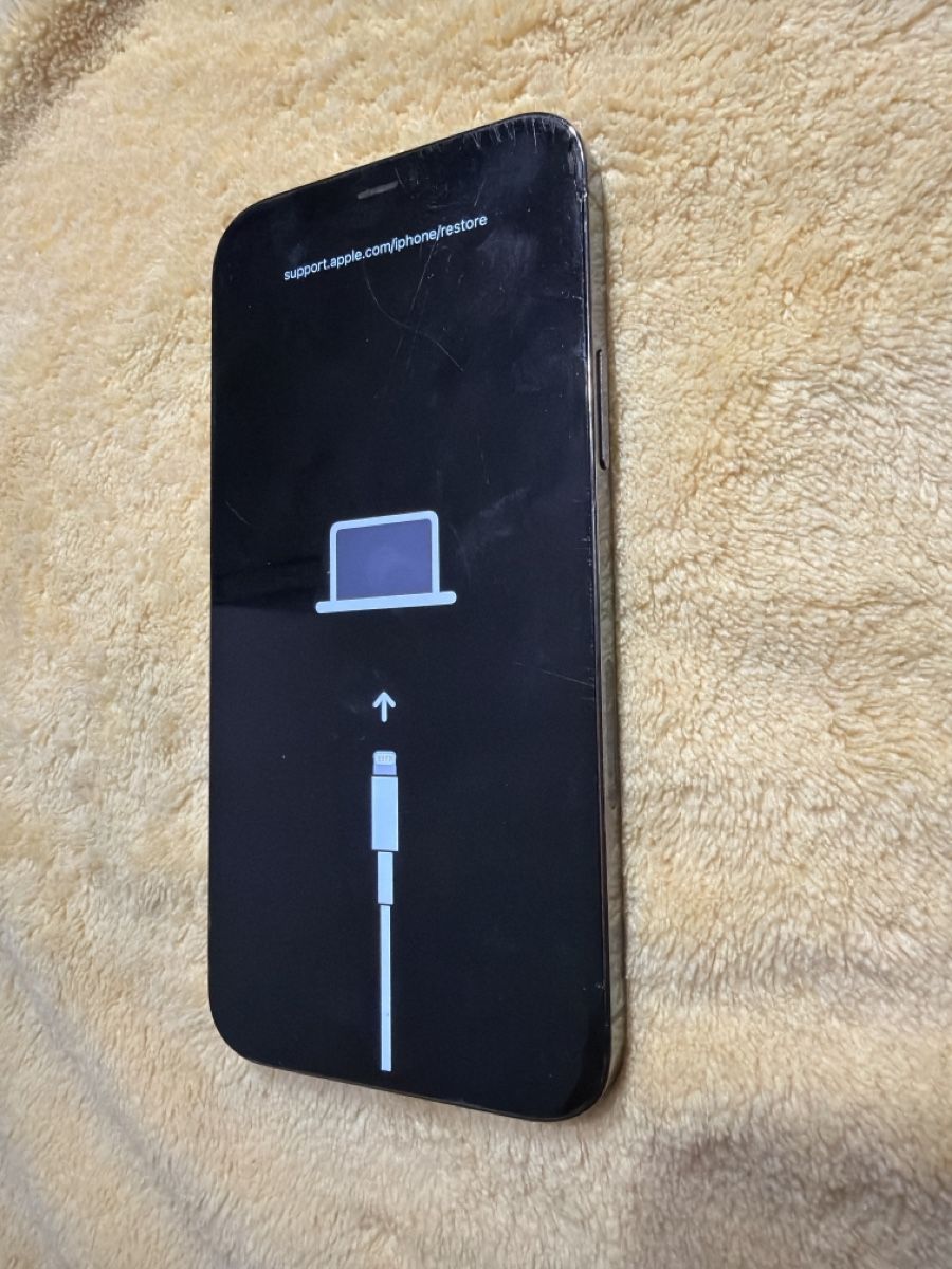 Apple Handys / Smartphones: iPhone 12 Pro / Schwarz / H28 – Gebraucht aus Arbon von BaX_94