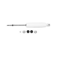 Gabriel Stossdämpfer G63386 Ford F-150 / Bronco / E-350–NEU