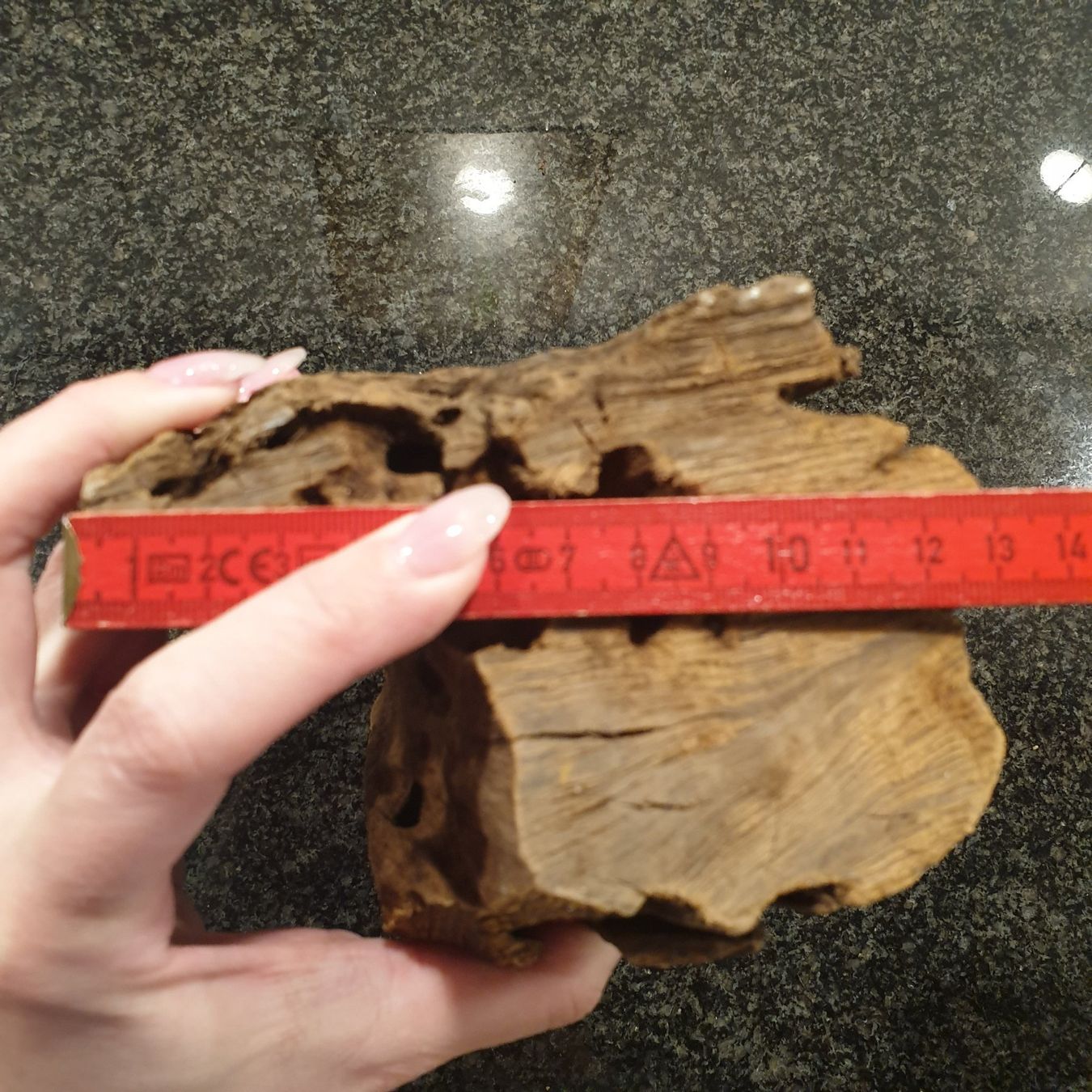 Articoli in legno: Holzwurzel, 21x13cm, 819g – Usato da Neuendorf venduto da DeSiriA 8