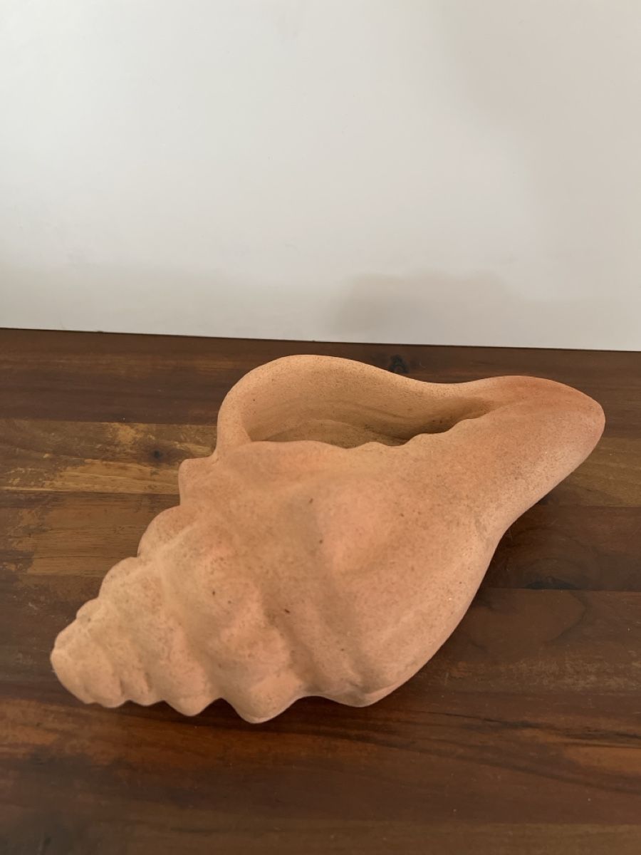 Vasi per fiori: Deko Muschel Terracotta, Blumentopf – Usato da Altdorf UR venduto da JanAil