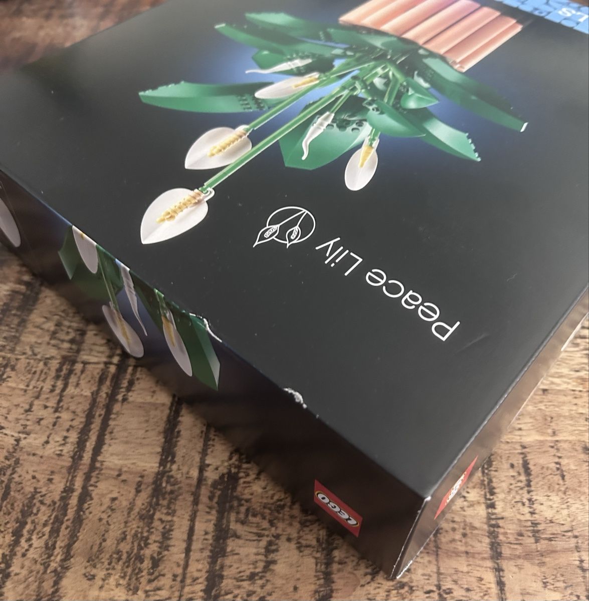 Lego Kit di costruzioni: Lego lot de 2 Botanicals – Nuovo e nell'imballaggio originale da confignon venduto da chachou79 4