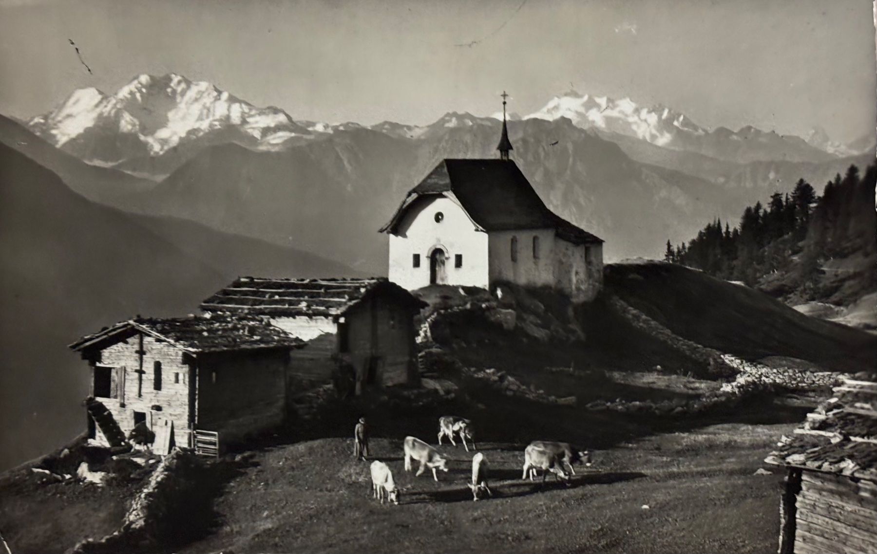 Cartoline postali: E. Gyger - Bettmeralp ob Mörel – Usato da Frauenfeld venduto da Merk52