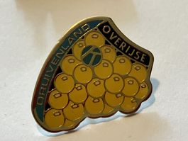 1 Pin Druivenland Overijse