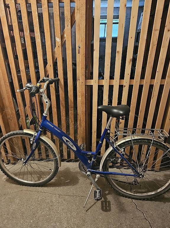 Biciclette: Leopard Damenrad  blau – Usato da Zürich venduto da Elena231 1