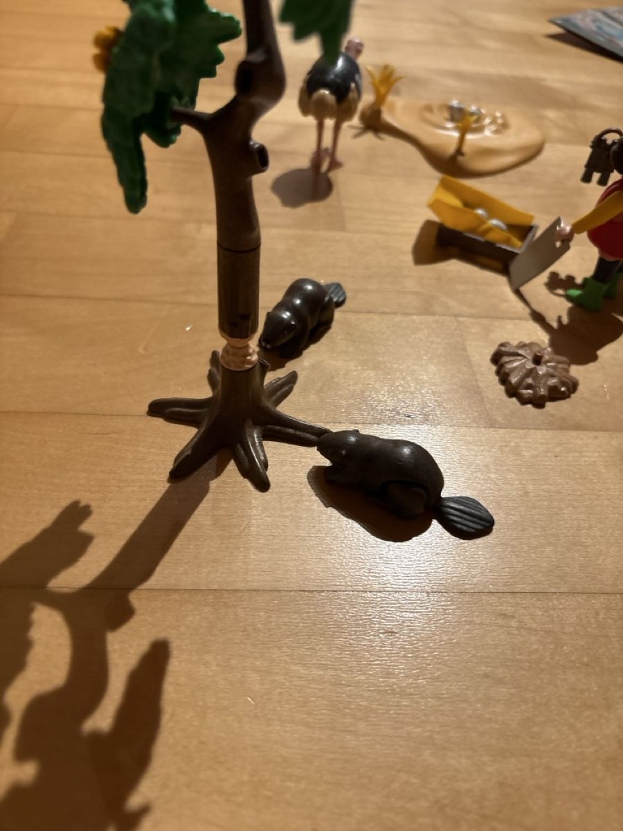 Playmobil Giocattoli: Playmobil Safari – Usato da Nottwil venduto da wasserlufterde 1