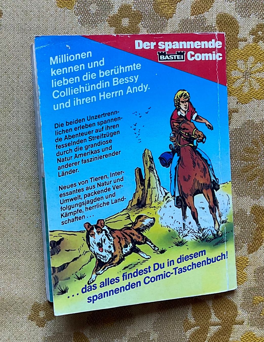 Comics: Bessy Taschenbuch Nr 15 – Gebraucht aus Endingen von nathan05 9