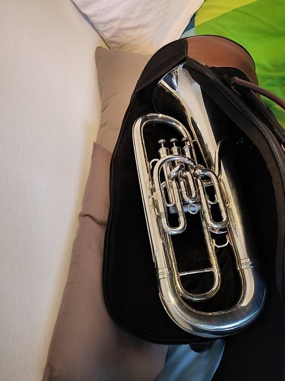 Strumenti musicali: Housse pour euphonium – Usato da Les Brenets venduto da Sentinelle 2