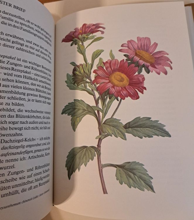 Botanik, JeanJacques Rousseau, PierreJoseph Redouté Kaufen auf Ricardo