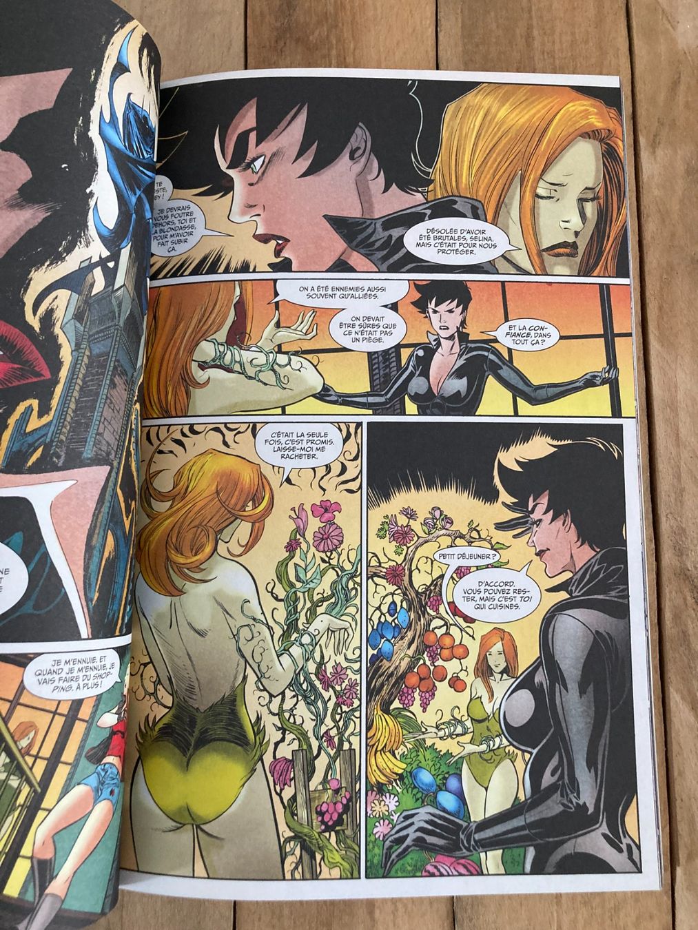 Comics: Les sirènes de Gotham-Comics Urban DC – Gebraucht aus vaumarcus von Blade.Runner 8