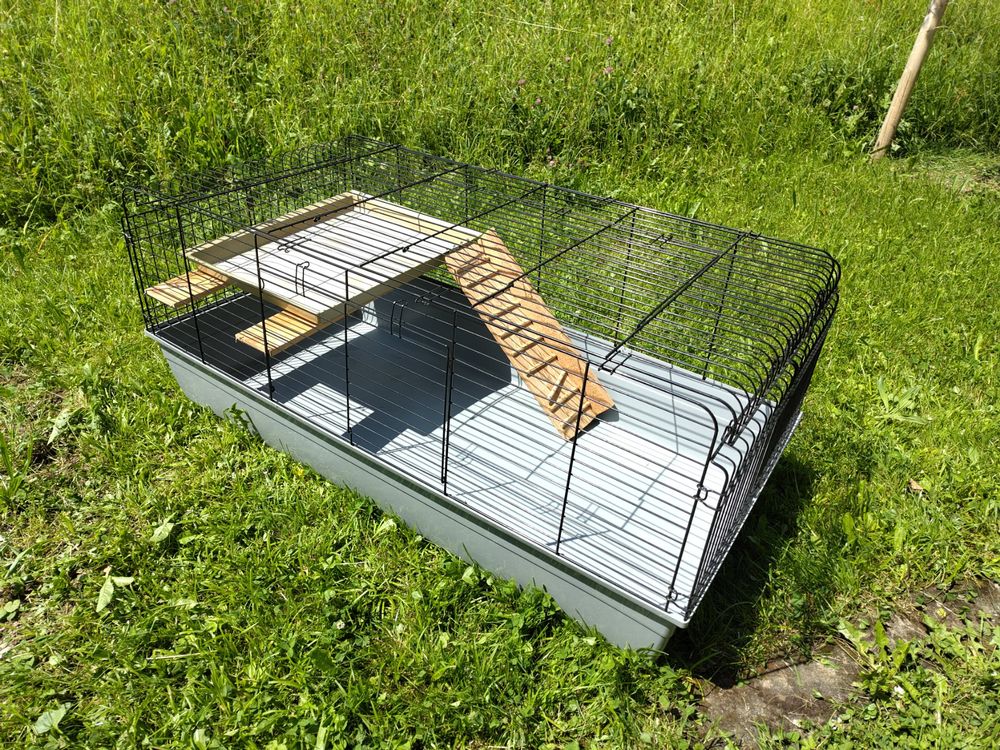 Aussenstalle Fur Meerschweinchen