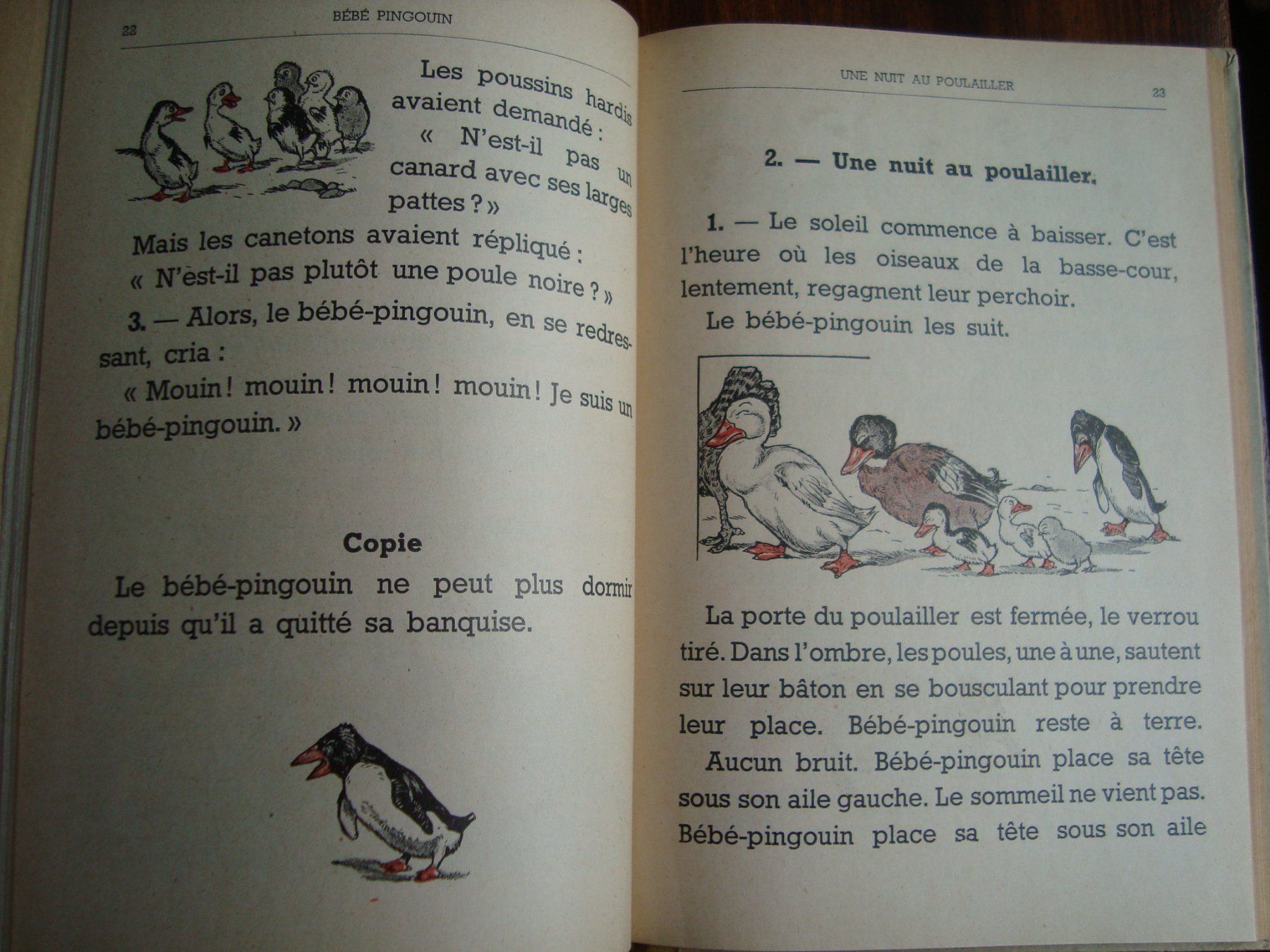 Libri: La petite bass-cour – Usato da Fribourg venduto da ruswil007 1