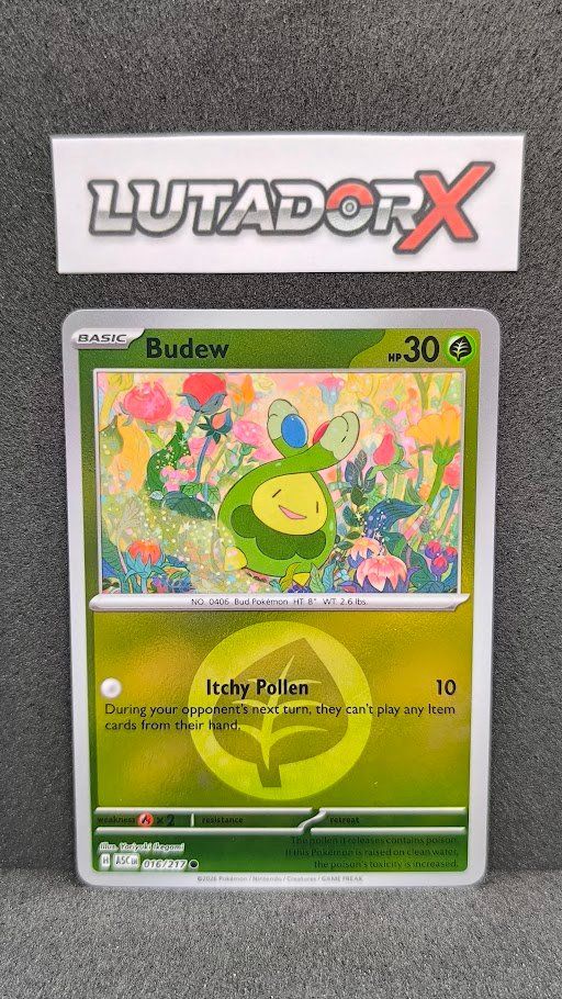 Pokémon Carte collezionabili: Budew - Reverse Holo - Ascended Heroes - 016/217 - EN – Usato da Ballwil venduto da Lutadorx
