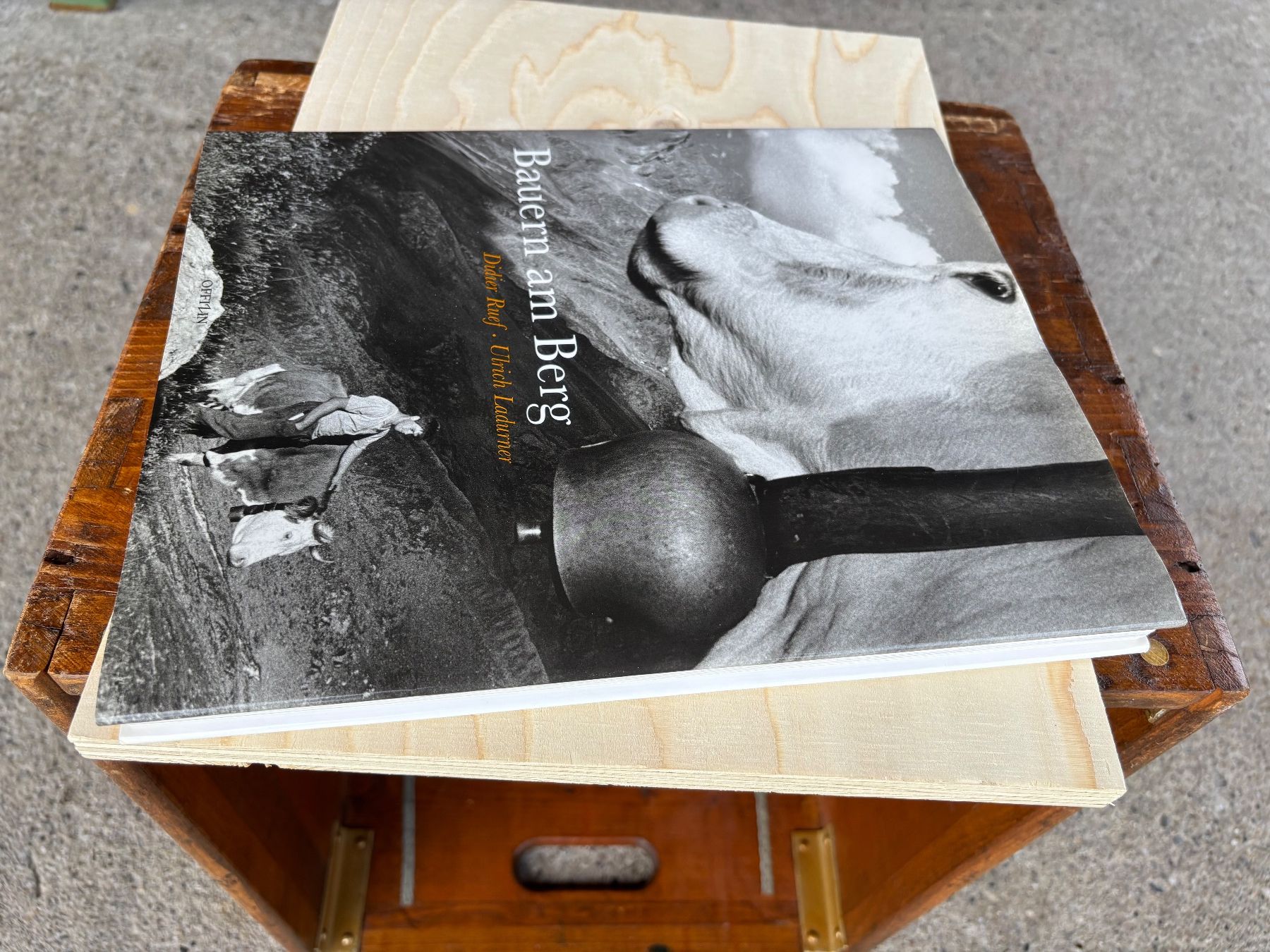 Campanacci mucche: Buch Bauern am Berg – Usato da Feldbach venduto da Fea1 3