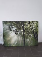 Leinwandbild «Wald» / Tableau sur toile « forêt » 2 × 1,4 m