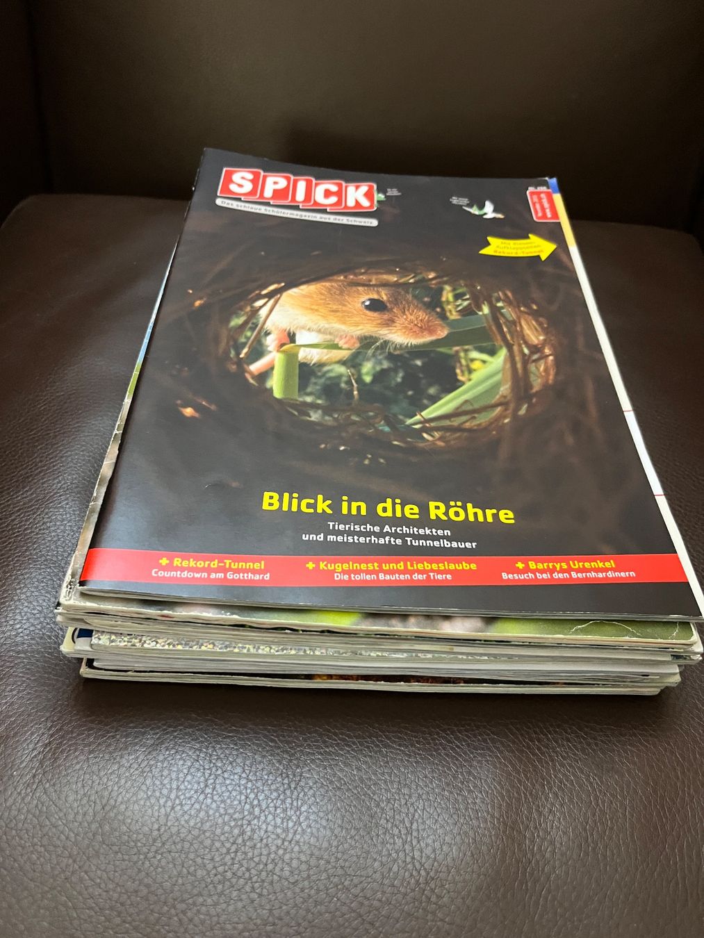 32 Spick-Hefte (div. Jahre) / das schlaue Schülermagazin (Gebraucht) in ...