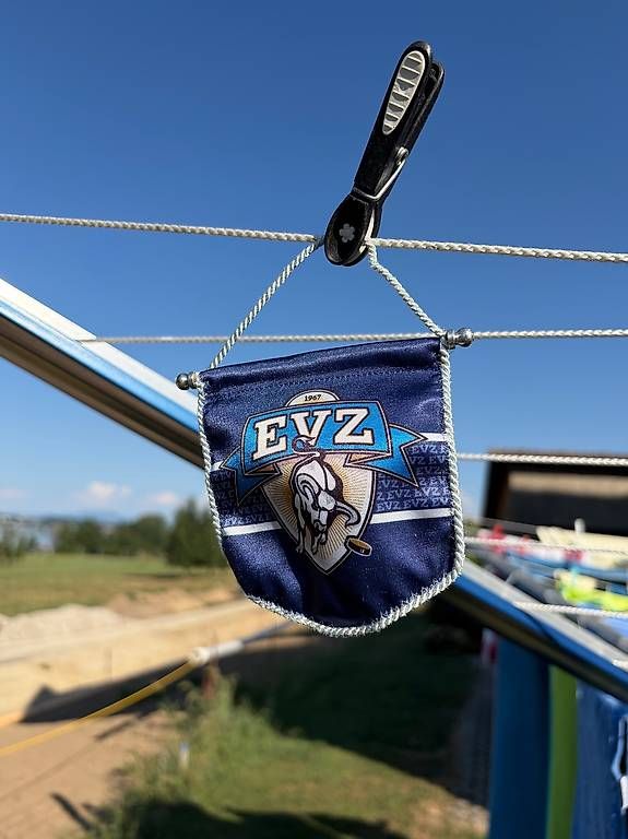 Coperte: EVZ Decke mit Wimpel – Usato da Nottwil venduto da Frontal 4
