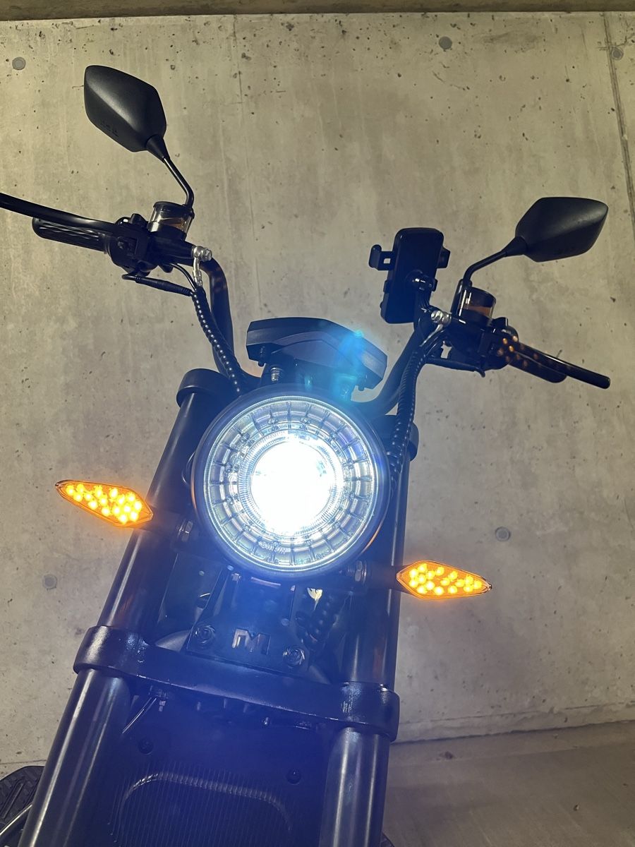Veicoli elettrici: Züriflizzer City Max RS PRO – Usato da Wolfhausen venduto da Joshua_Ricardo 1