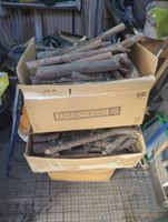 Naturäste und Zweige als Brennholz – gebrauchsfertig 