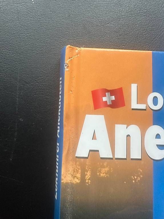 Bücher: Lokführer Anekdoten – Gebraucht aus Buchs SG von schotterpilot 2