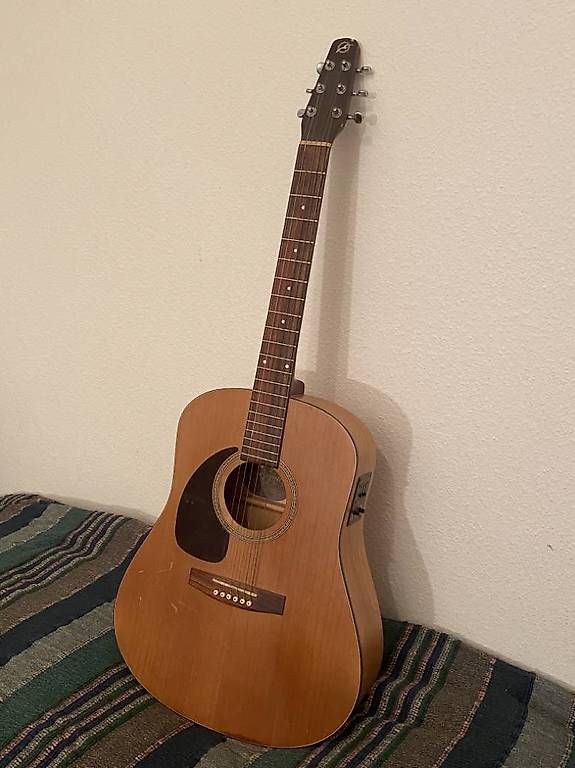 Strumenti musicali: Guitar Seagull Electro acoustique Left Hand – Usato da Carouge GE venduto da Domblo