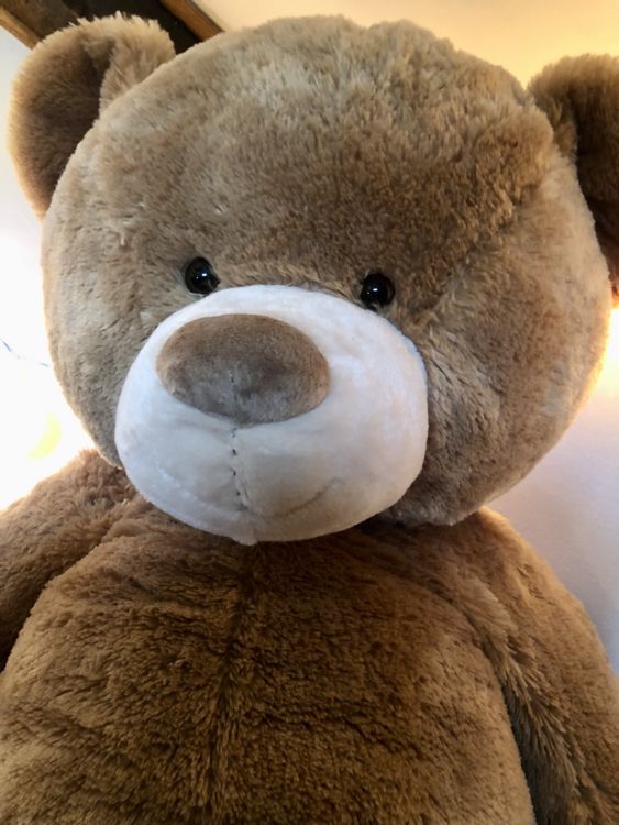 Sweety Toys Teddybär – Rock And Roll Bär 40 Cm Mit Soundfunktion, Braun, Antiallergisch