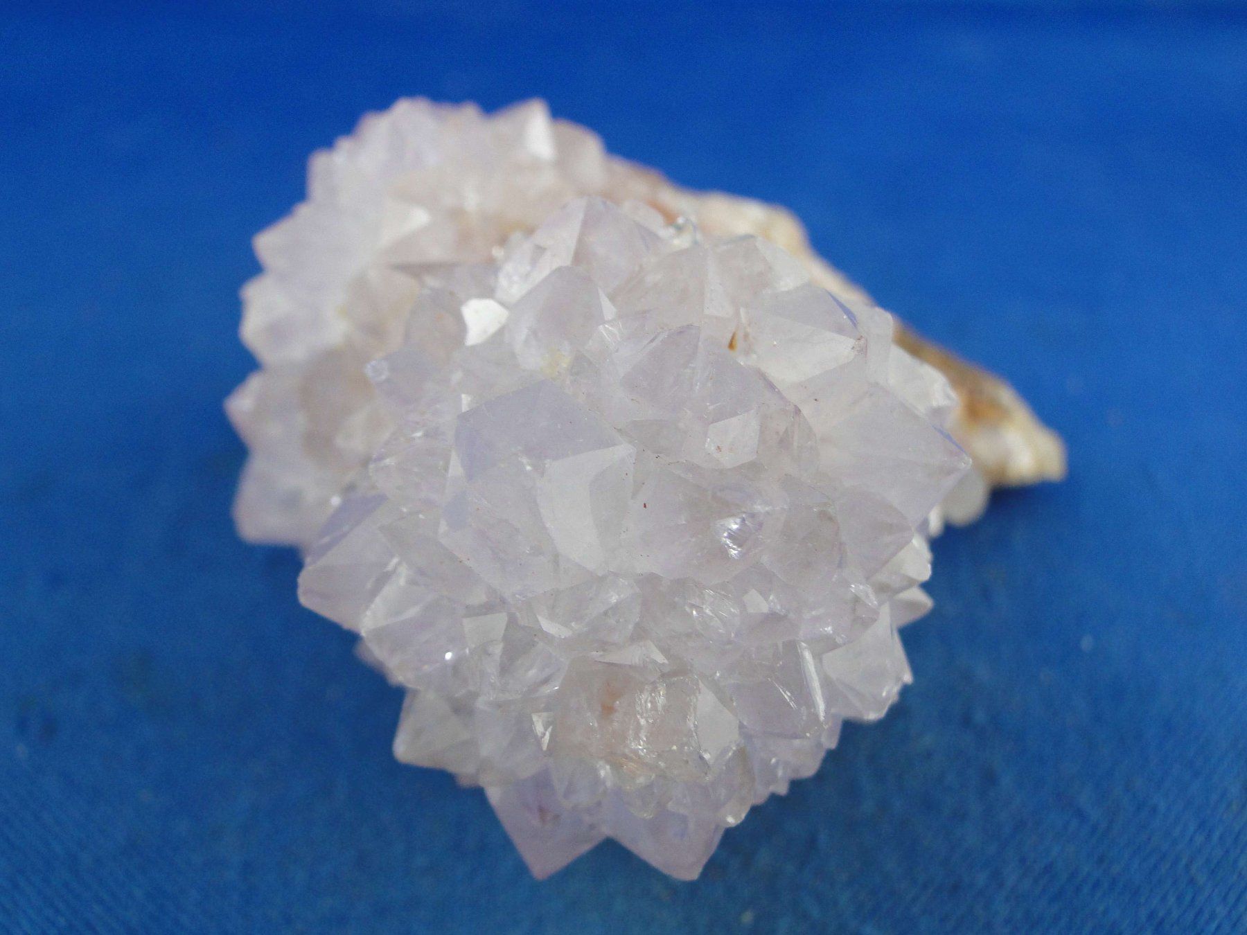 Minéraux & Lithothérapie: Quartz var. Amethyst & Kaktus – Neuf avec emballage d'origine à Schinznach Bad par Demerald 5