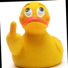 Profile image of Rubberduck15