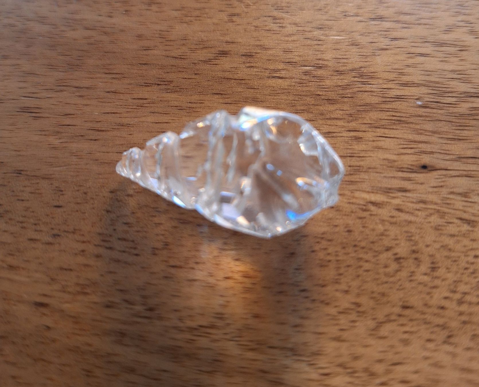 Fossili: Muschel, Swarovski Glas – Usato da Hauptwil venduto da Markuseli