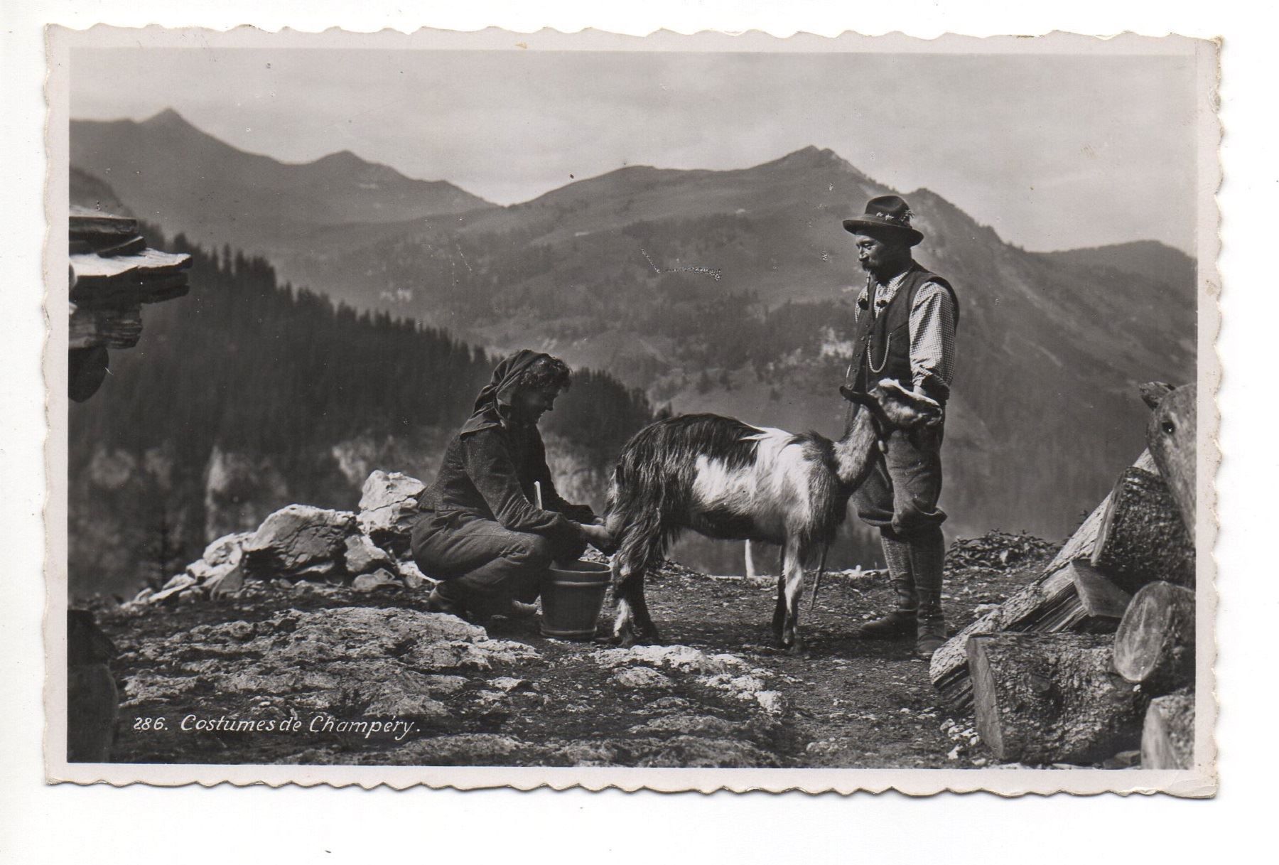 Cartoline postali: CHAMPÉRY Bergbauern melken Ziege – Usato da Jona venduto da philajona