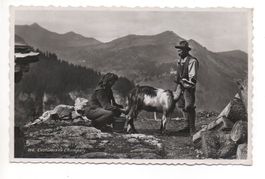 CHAMPÉRY Bergbauern melken Ziege