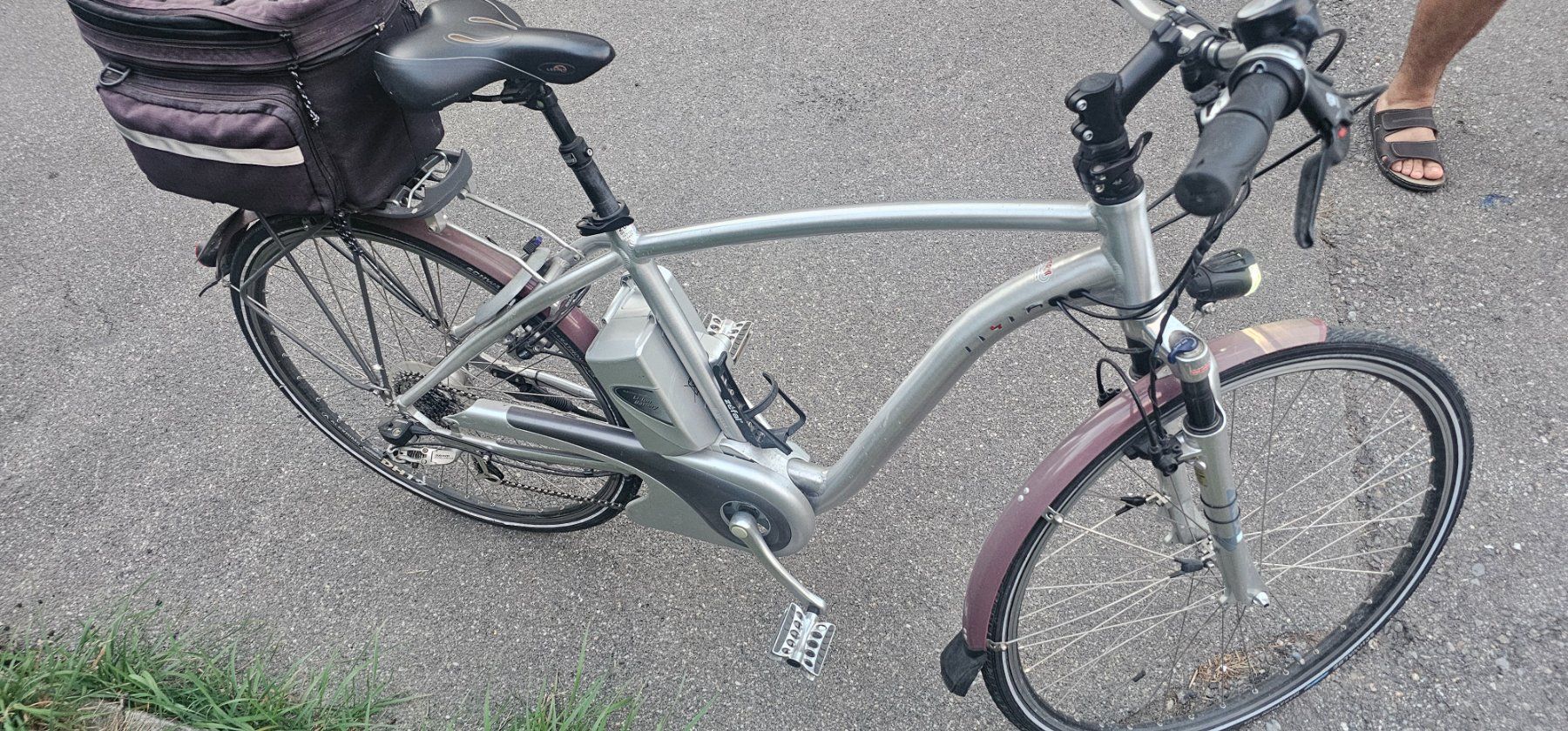 Flyer Vélos: Ebike Flyer 45kmh mit 2 Akkus – D'occasion à Emmenbrücke par Haz_wd2d 4