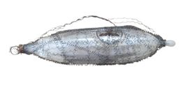 Weihnachtsschmuck antik Zepellin