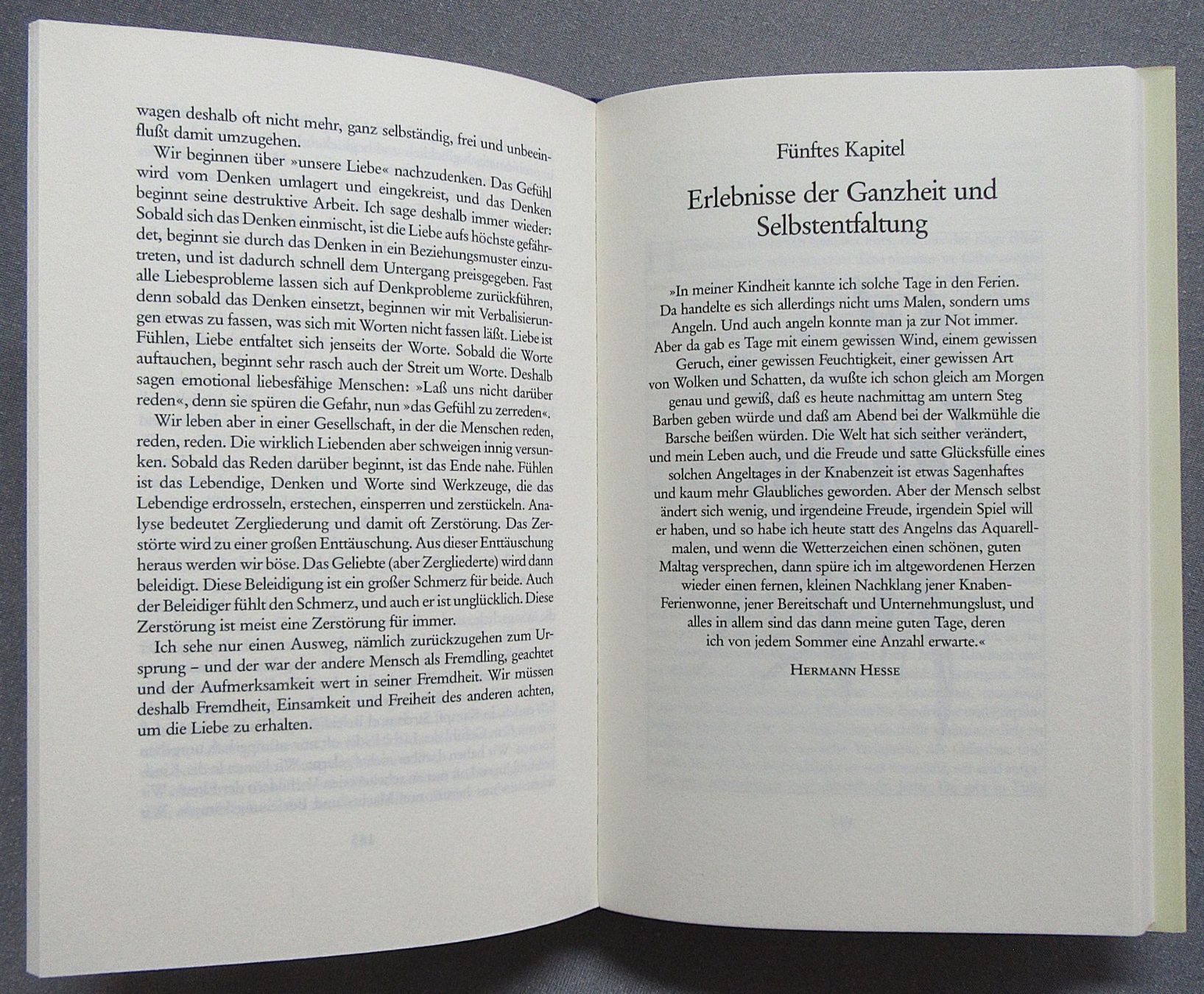 Livres: Das Lauster Lebensbuch - von Peter Lauster – D'occasion à Auenstein par Padabimbim 6
