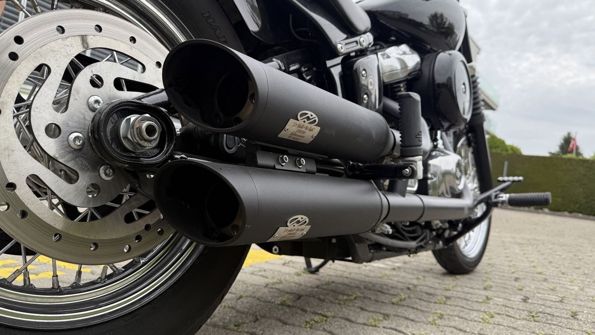Harley-Davidson Chopper: Harley - Davidson FXST – Usato da Staad SG venduto da adi_9qcx 6