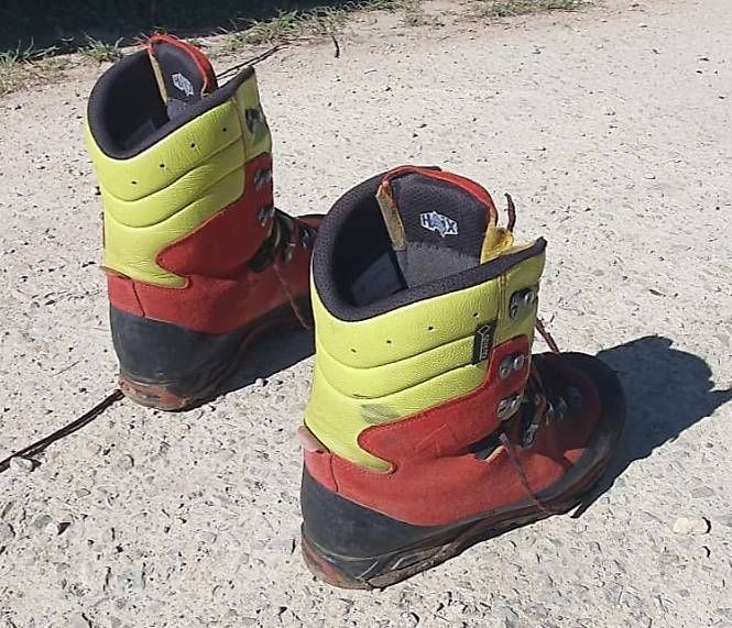 Scarpe da uomo: HAIX Protector Forest 2.1 GTX  Schnittschutz Gr. 42 – Usato da Grenchen venduto da Mibo81 1