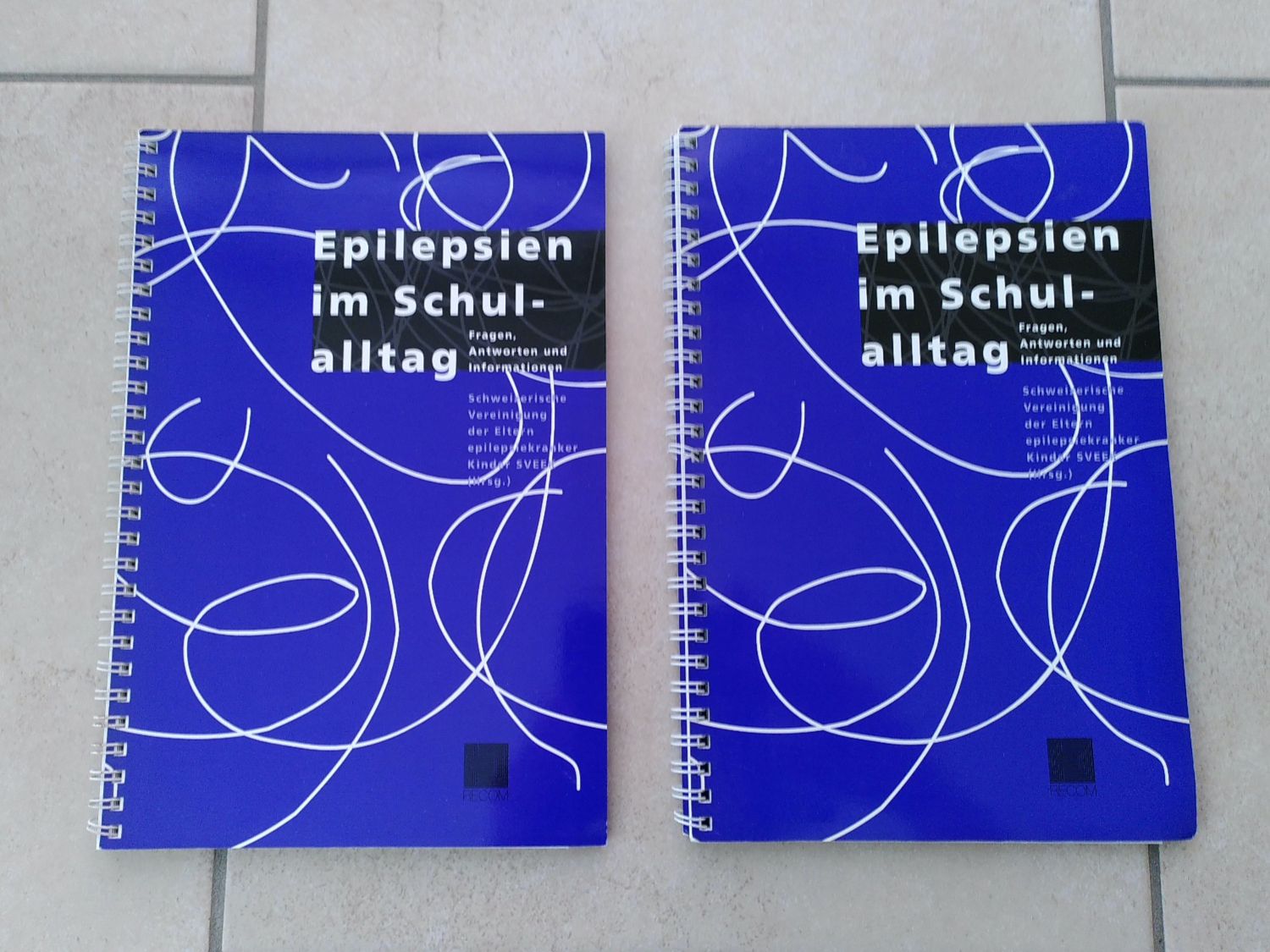 Libri: EPILEPSIEN IM SCHULALLTAG – Usato da Brugg AG venduto da olamim