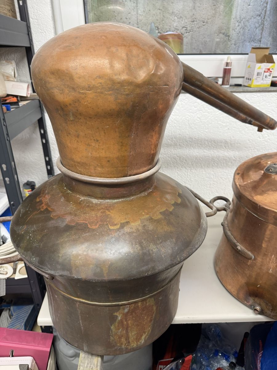 Elettrodomestici da cucina: Destille Kupfer – Difettoso da Münchwilen AG venduto da me2work 1