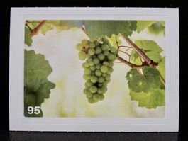 MIGROS MANIA Nature Detectives Nr. 95