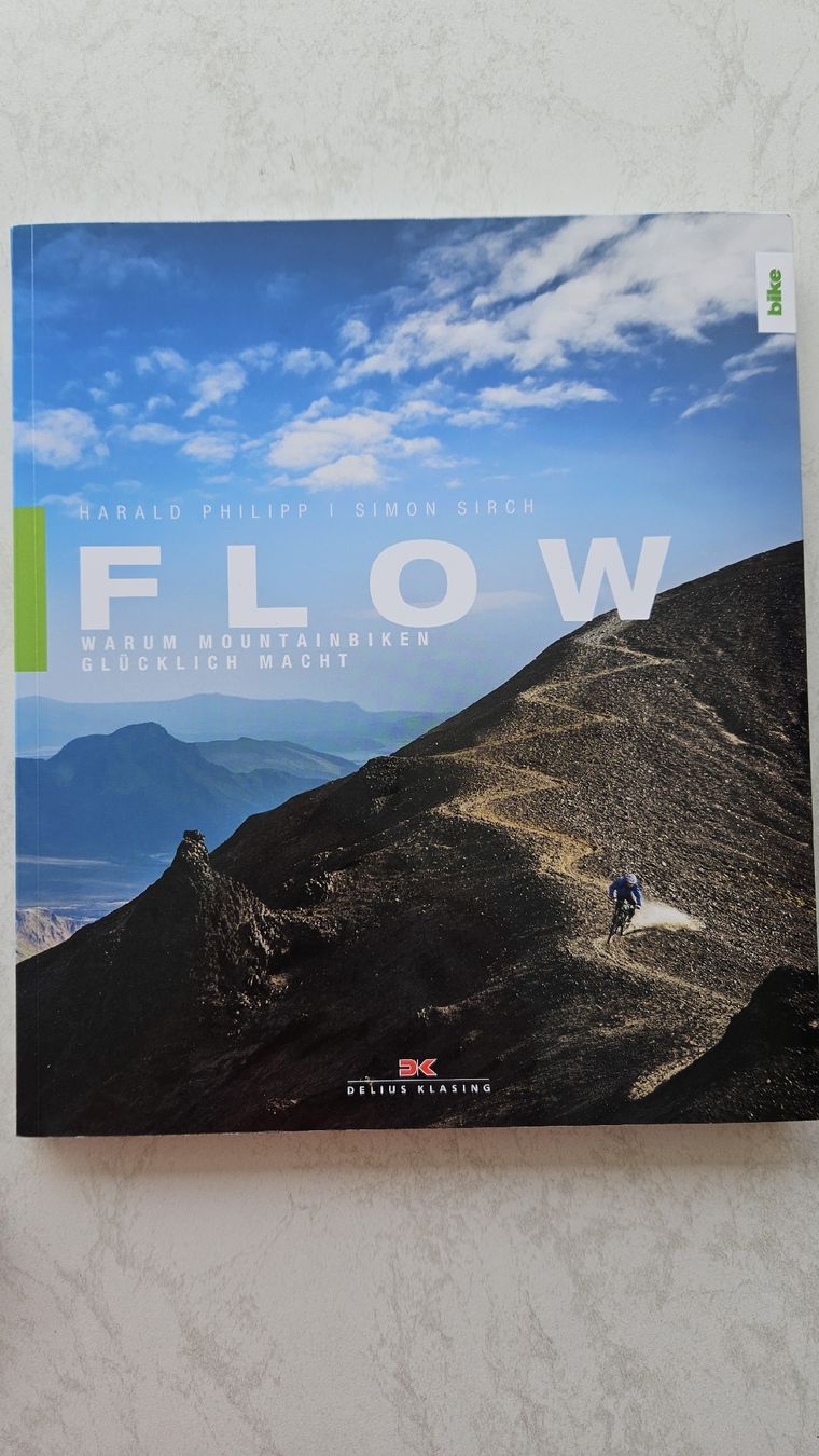 Libri: Buch Flow Harald Philipp – Usato da Hildisrieden venduto da Schteigeiss
