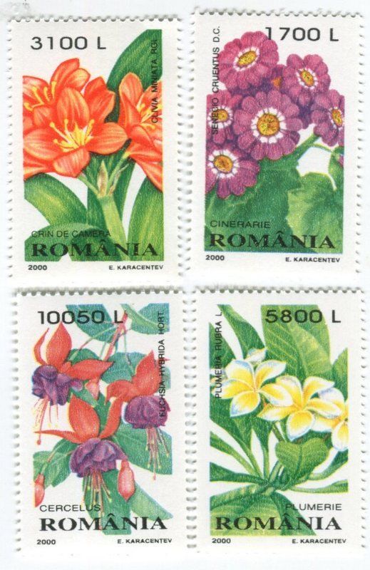 Tutti i francobolli: Briefmarken "Blumen". Rumänien – Nuovo e nell'imballaggio originale da Basel venduto da Butsch5