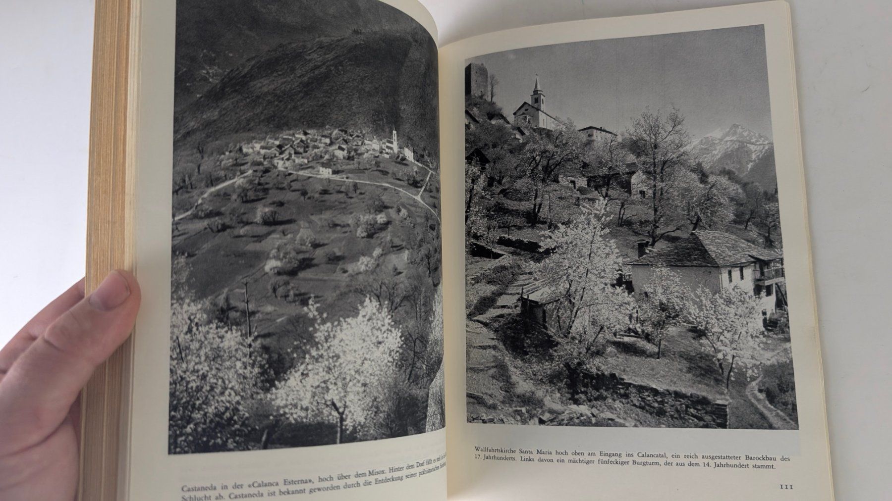 Libri: Schweizer Heimatbücher: Das Misox – Usato da Zürich venduto da axolottchen 4